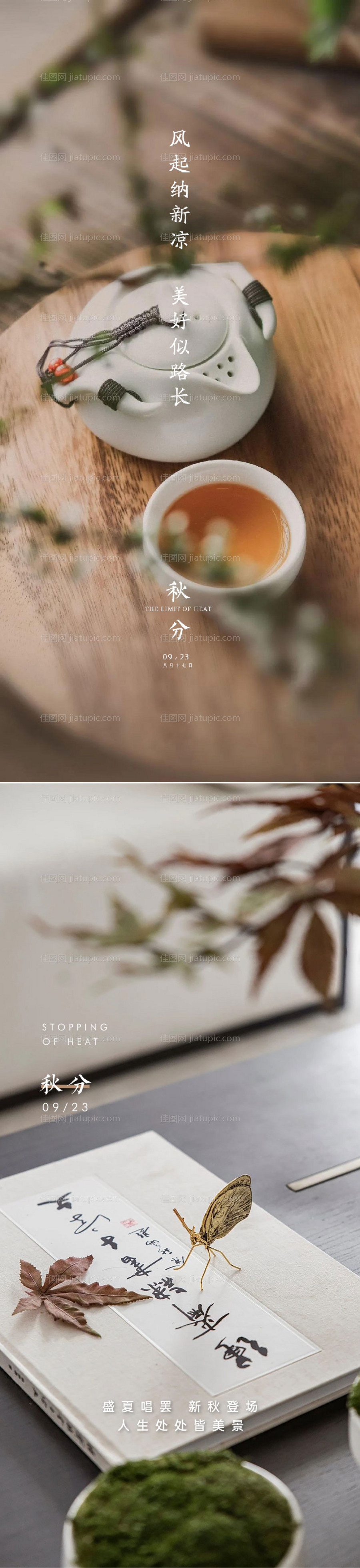秋分系列海报-源文件