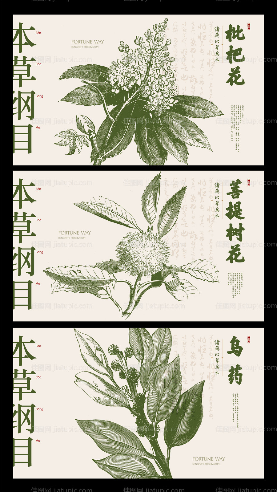 本草纲目中药展板-源文件