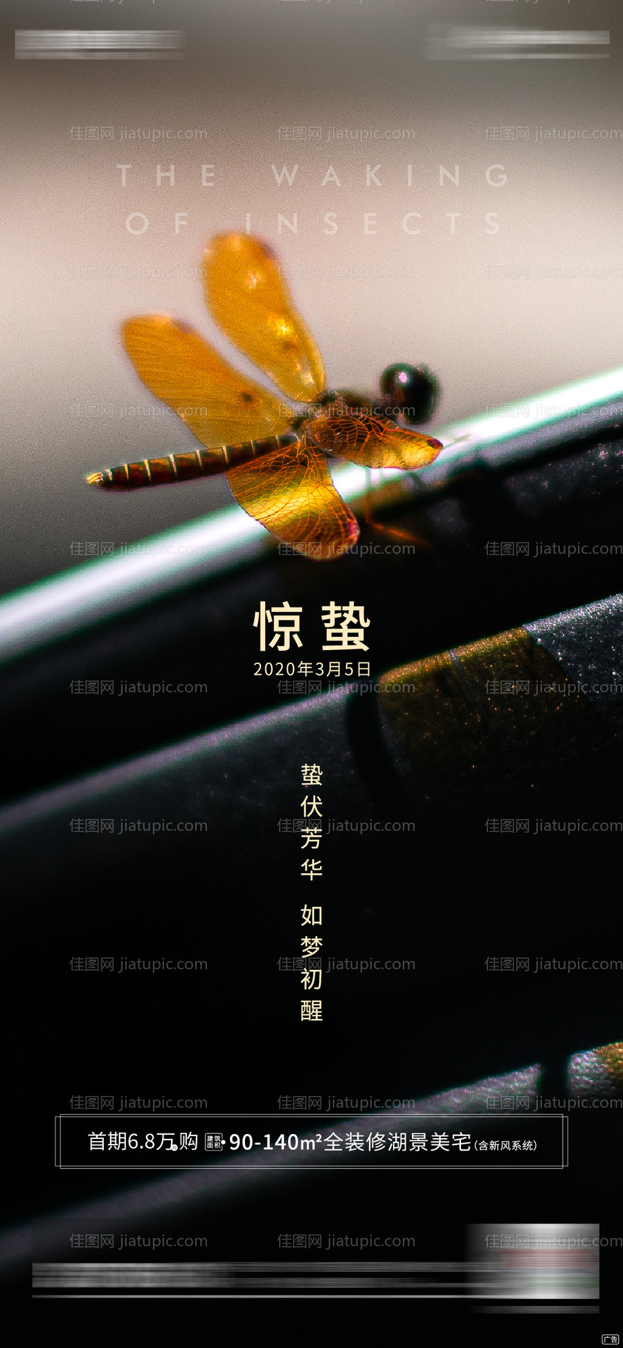 惊蛰节气微信海报-源文件