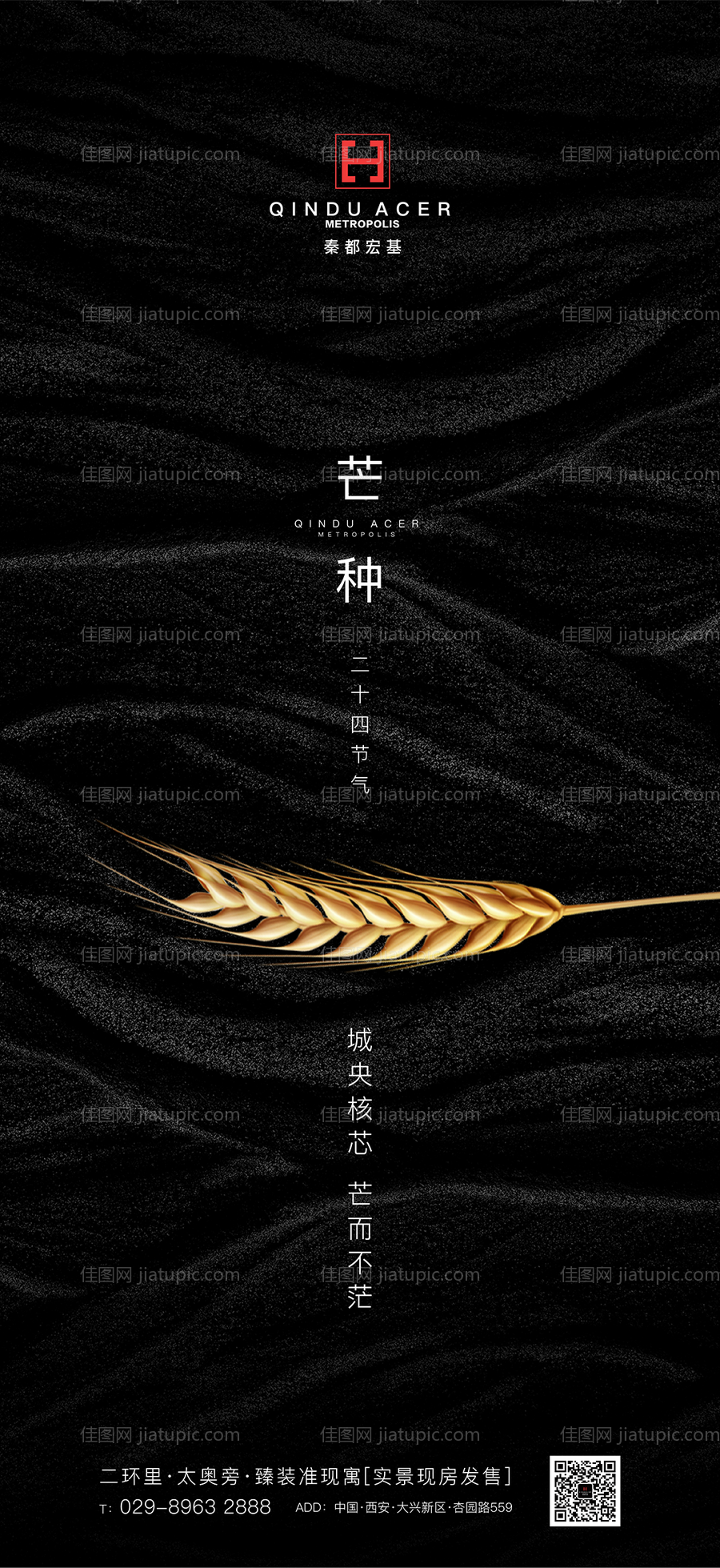二十四节气芒种黑金海报-源文件