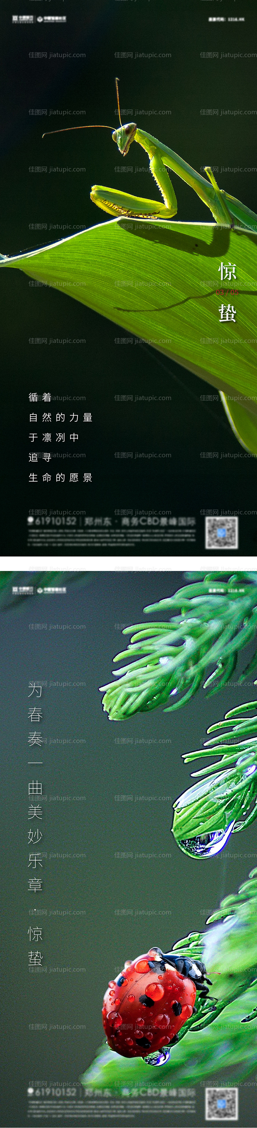 惊蛰节气系列海报-源文件