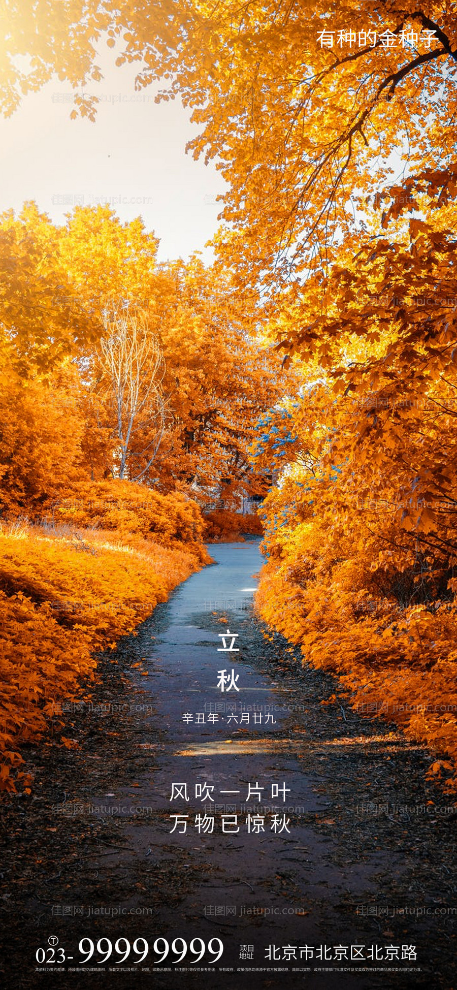 立秋海报-源文件