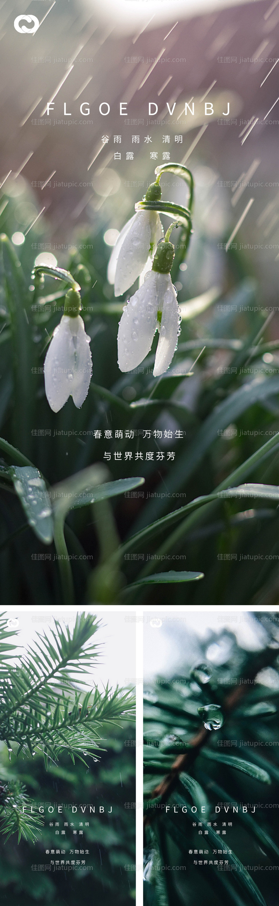 雨水谷雨清明白露寒露系列海报-源文件