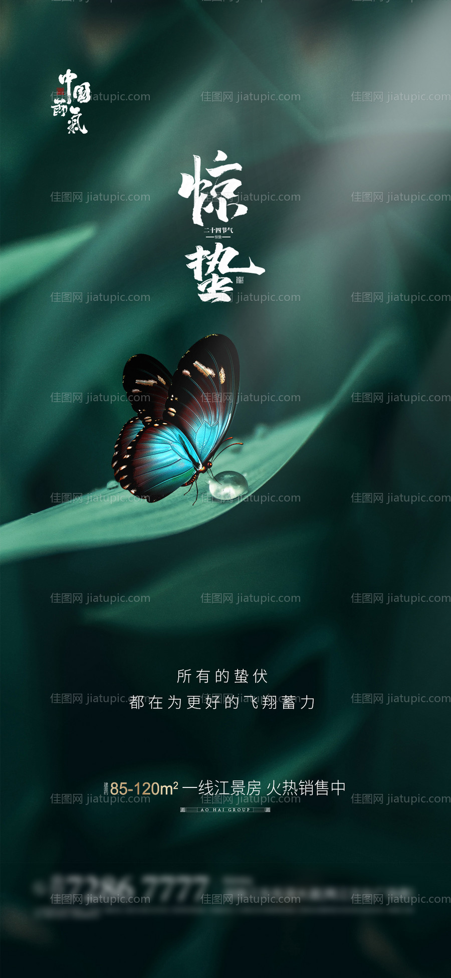 惊蛰节气移动端海报-源文件
