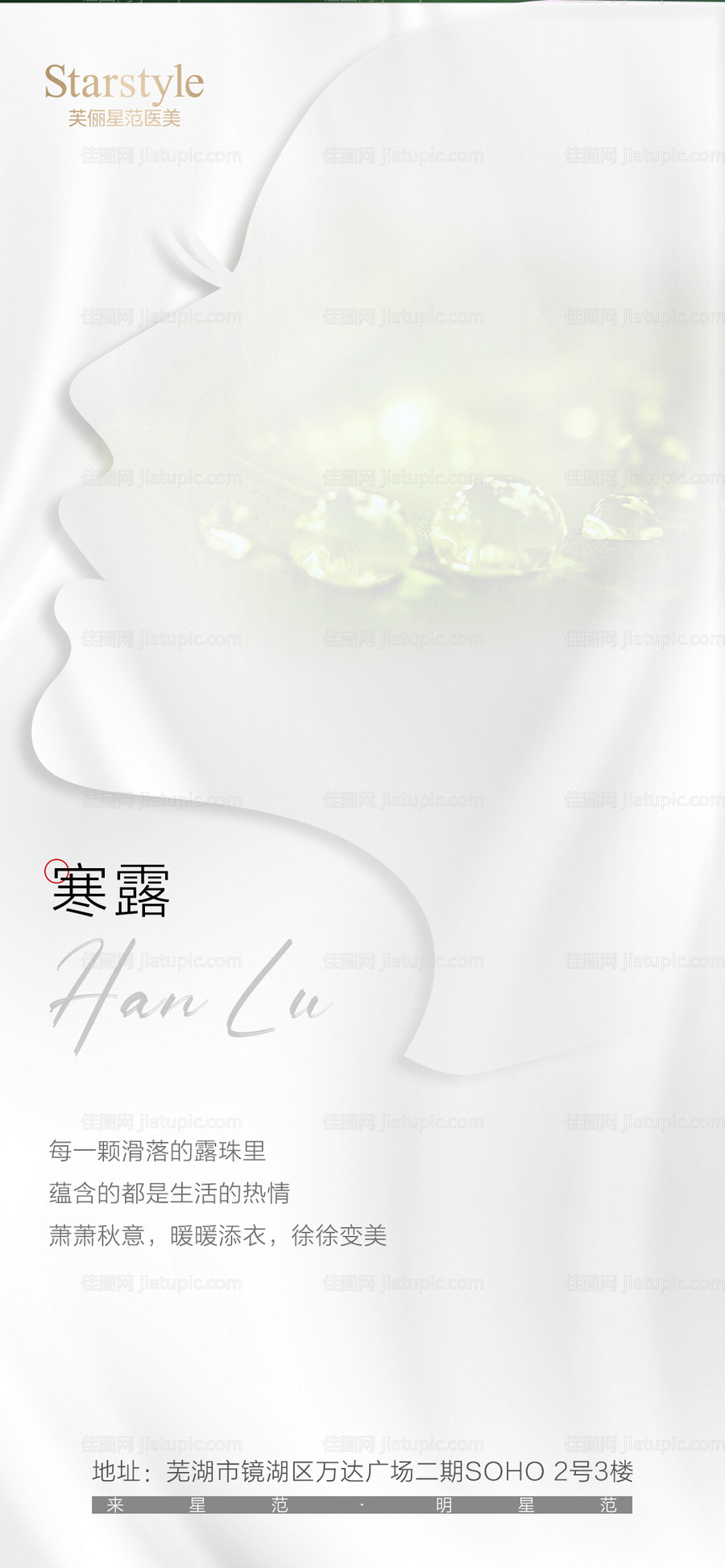 医美寒露剪影节气海报-源文件