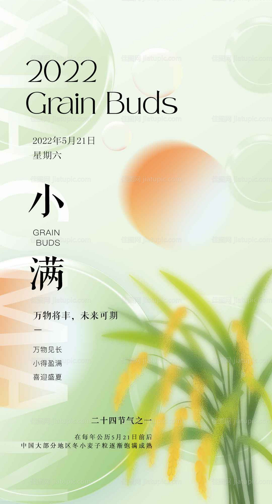 小满节气海报-源文件