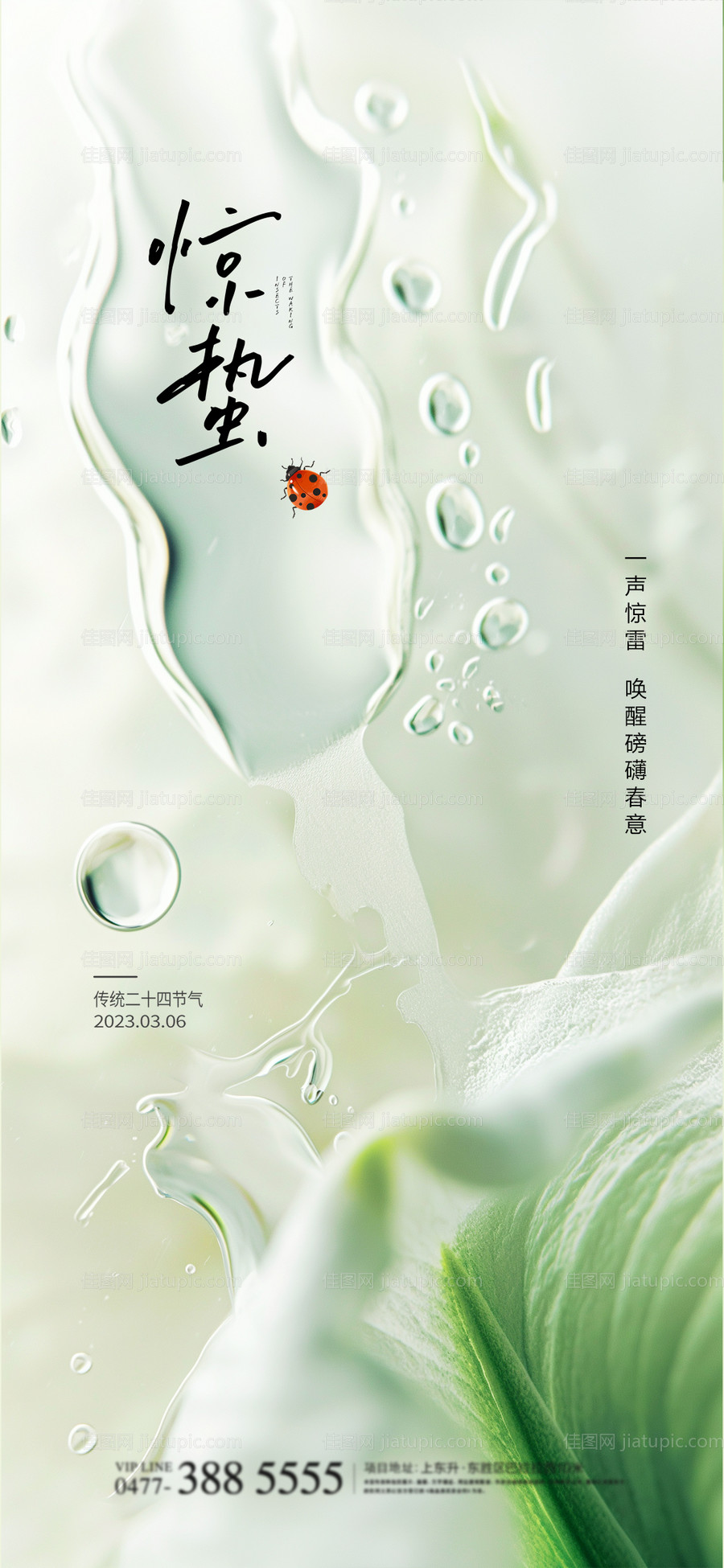惊蛰节气海报-源文件
