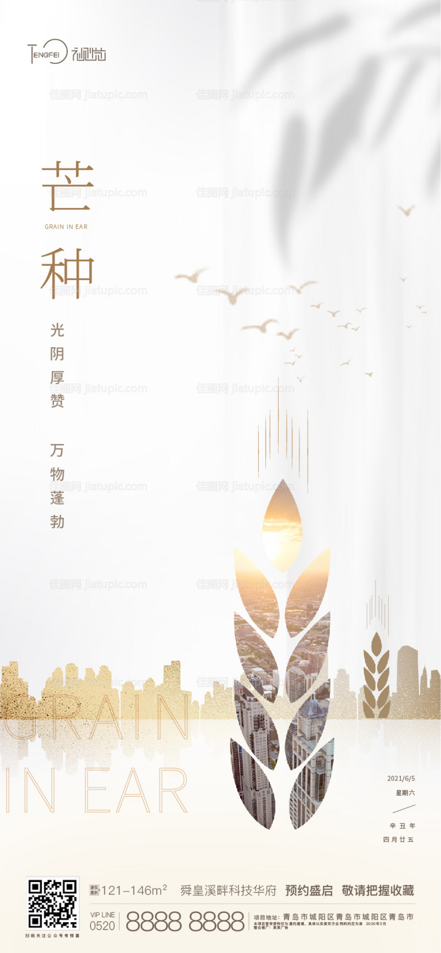 芒种节气海报-源文件