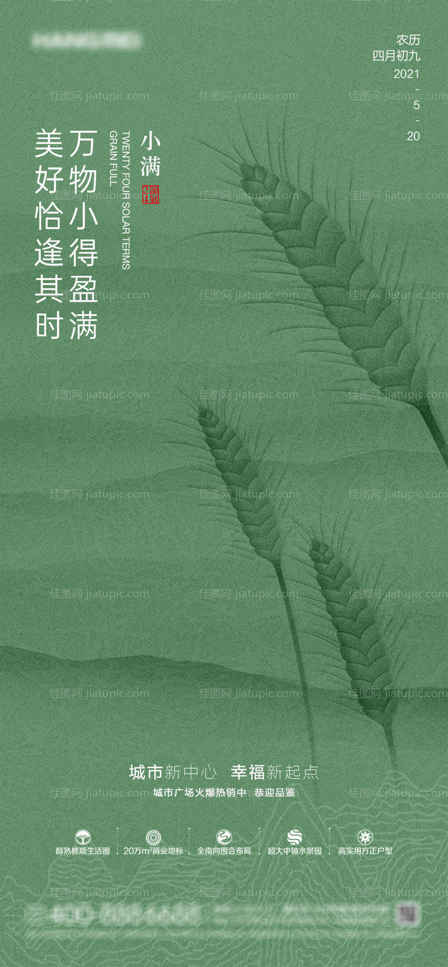 地产小满节气海报-源文件