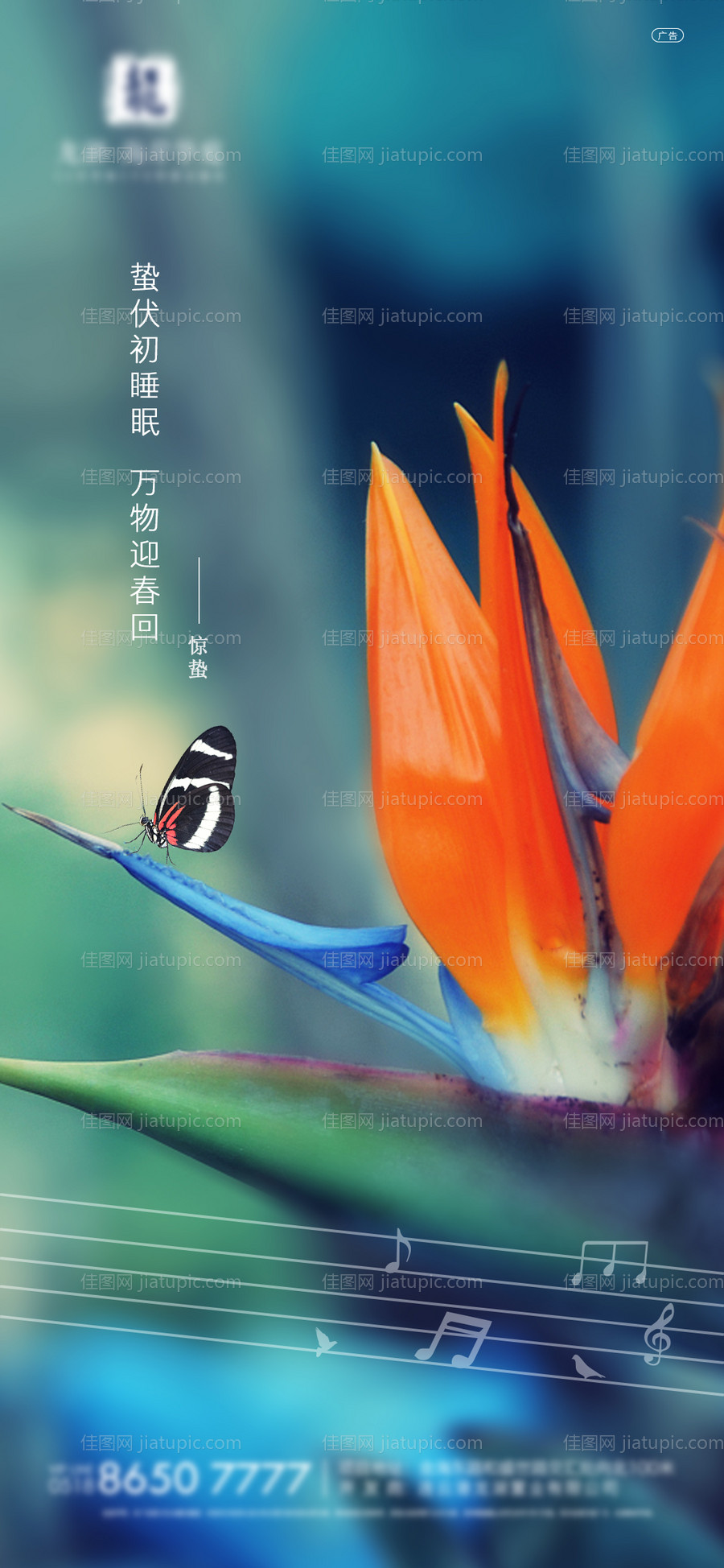 惊蛰节气海报-源文件