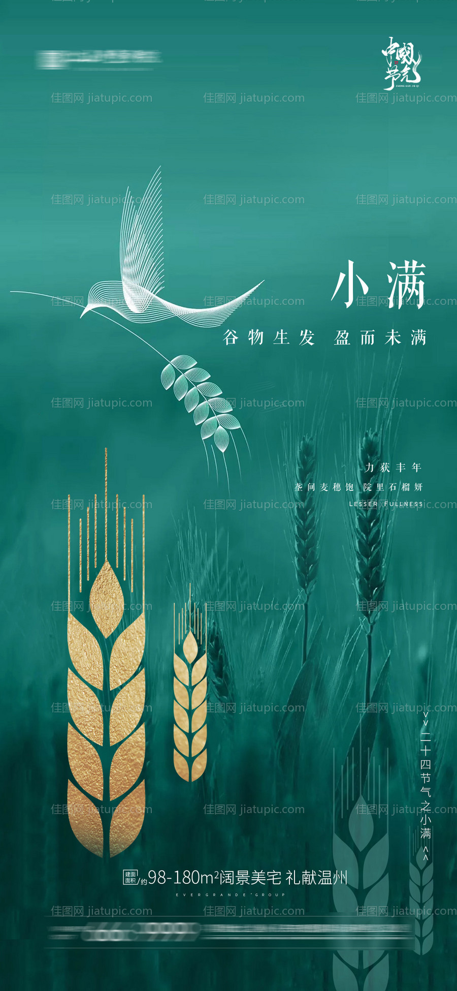 小满节气移动端海报-源文件