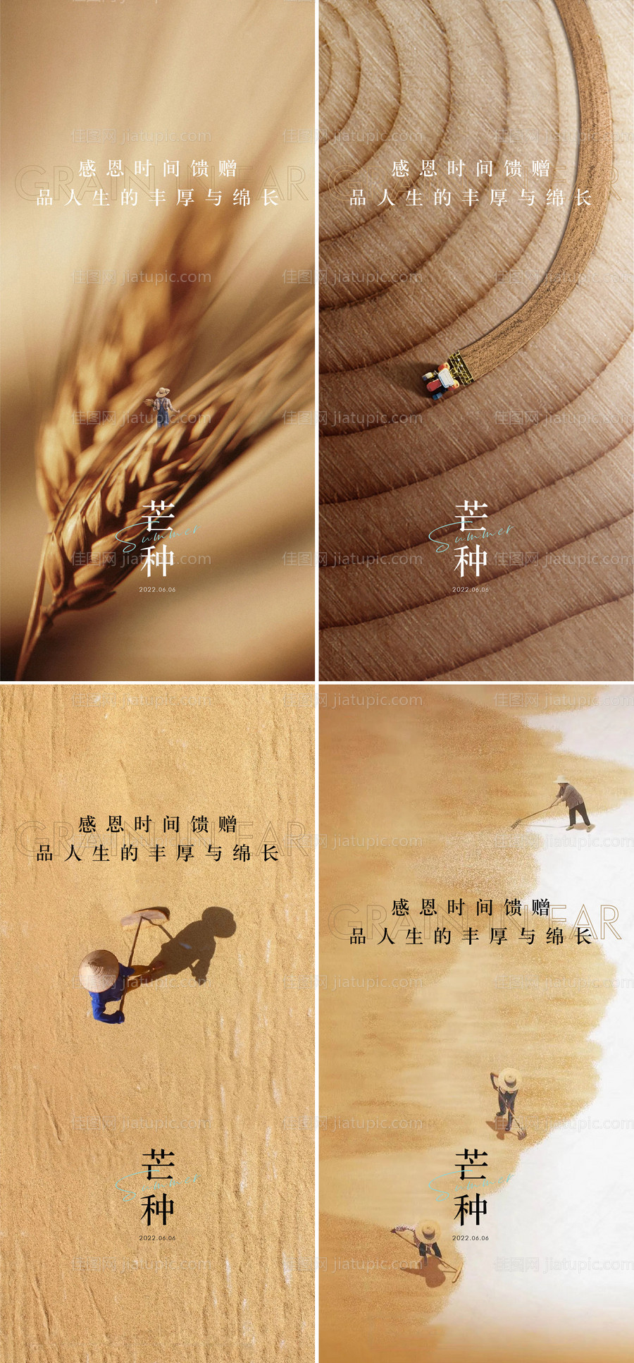 地产芒种节气海报-源文件