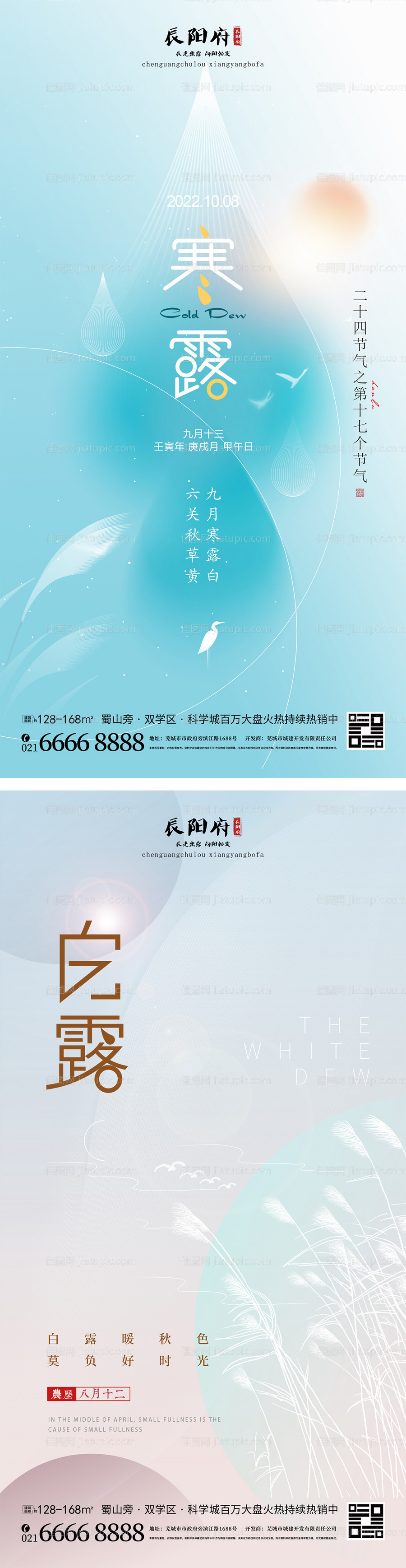 白露寒露节气海报-源文件