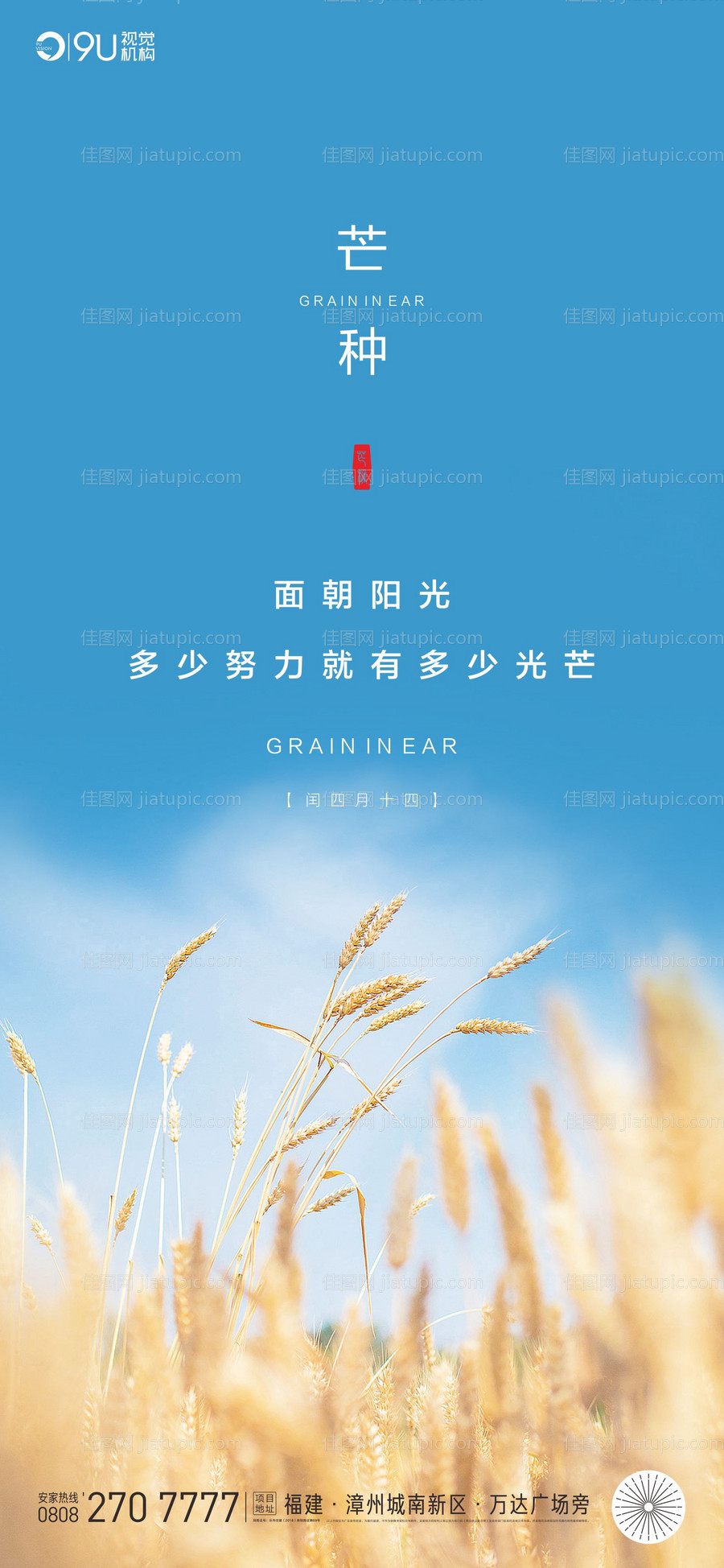 芒种-源文件