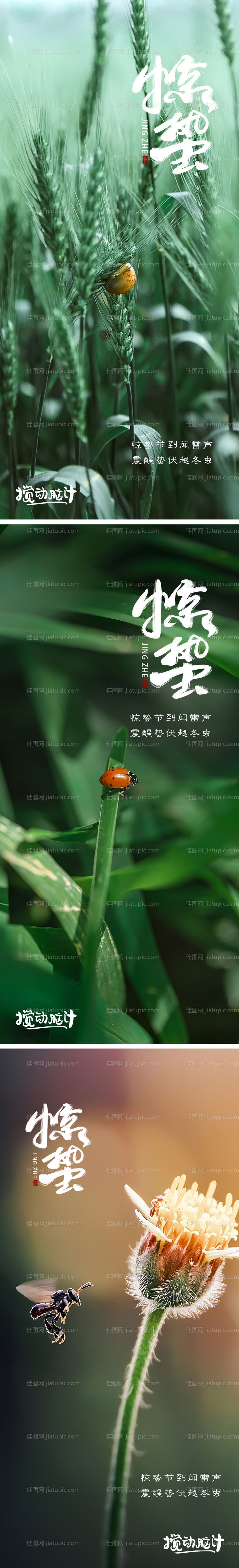 惊蛰节气海报-源文件