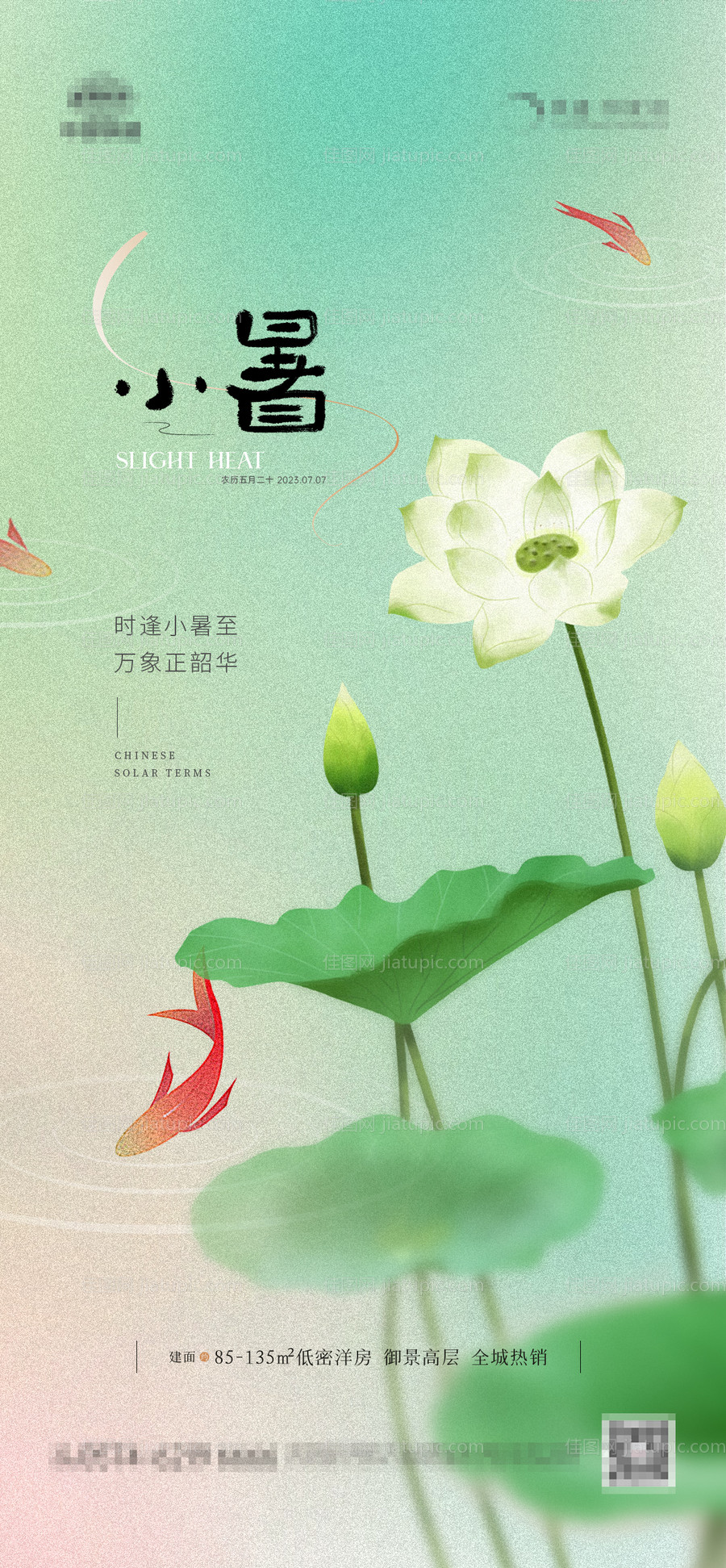 地产小暑荷塘金鱼海报-源文件