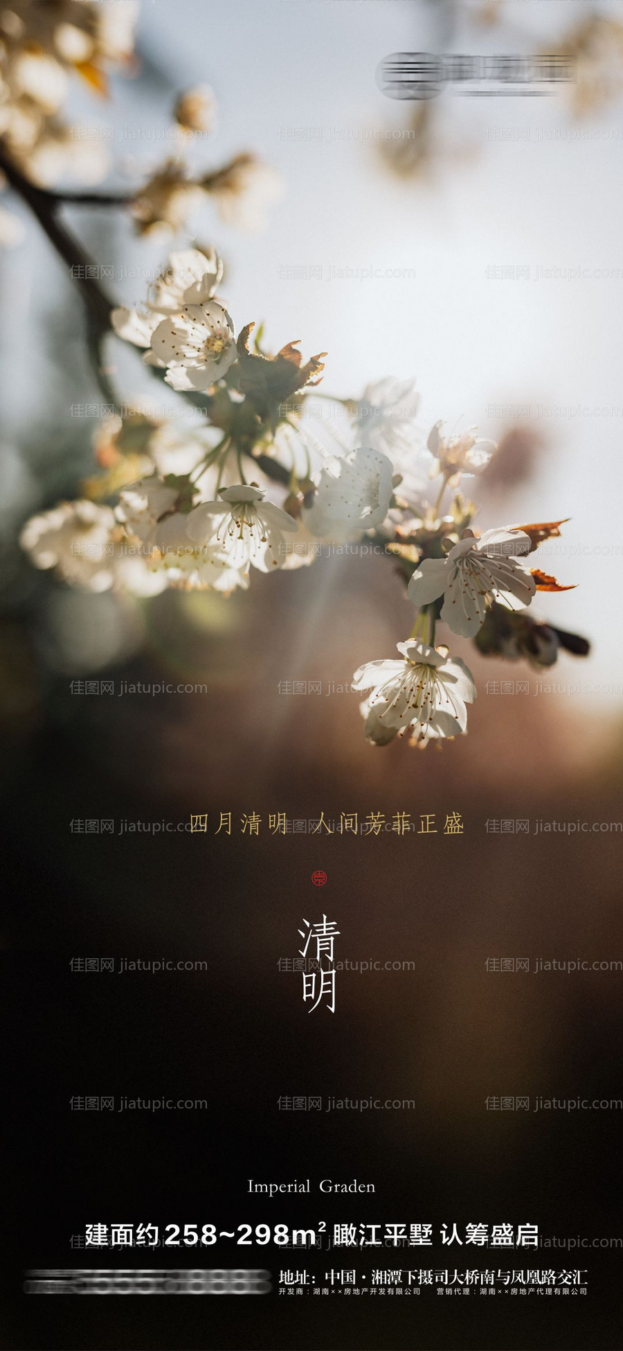 地产清明节气海报-源文件