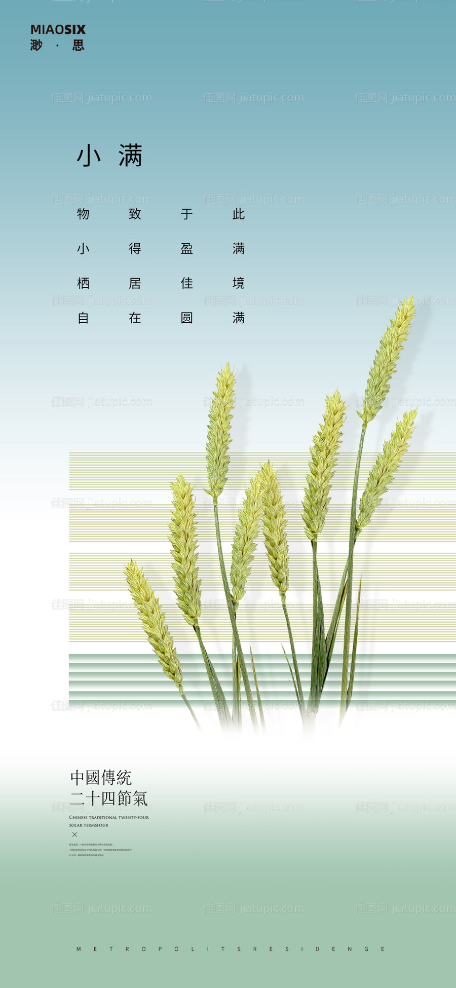 小满麦穗微信海报-源文件