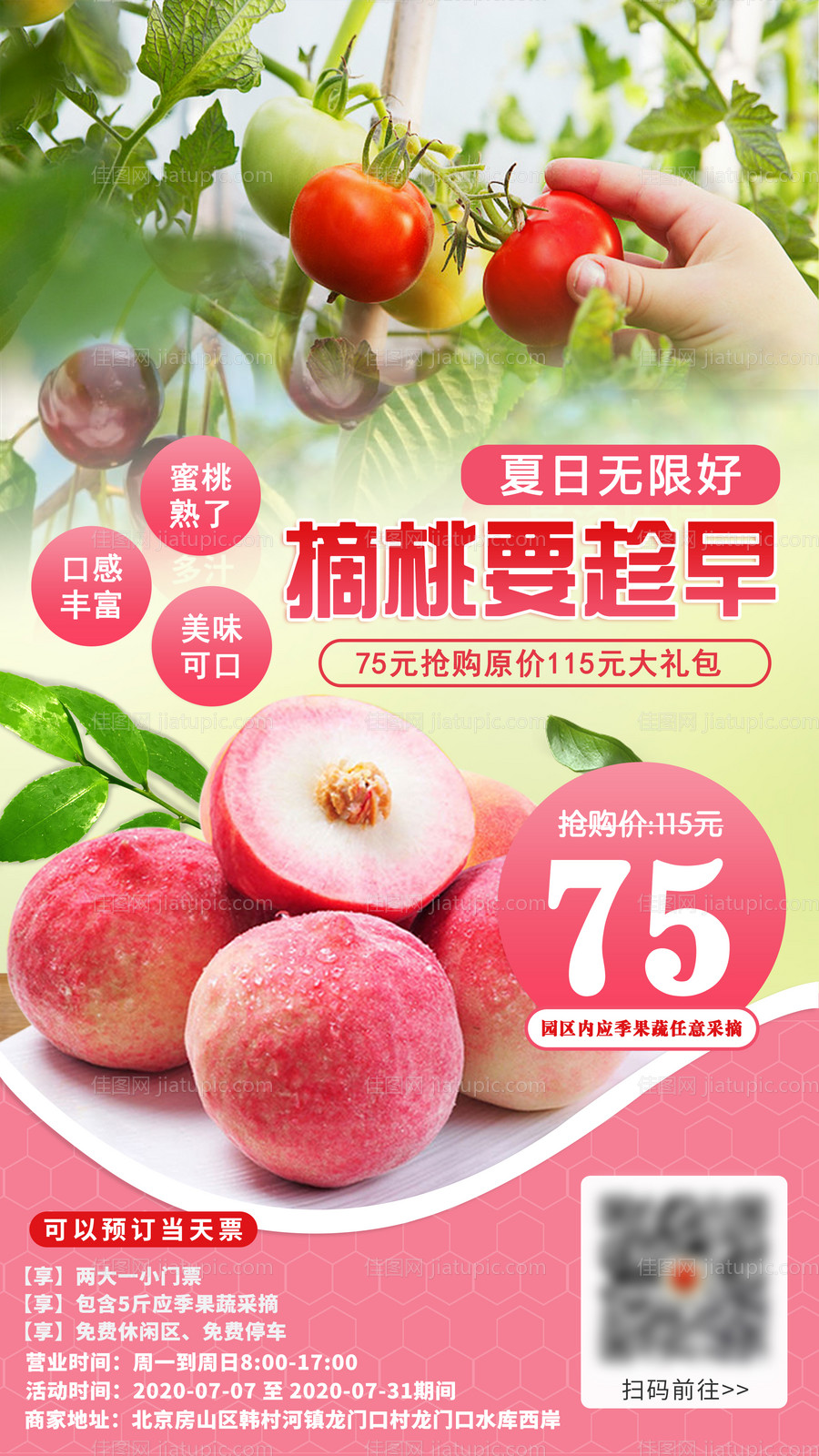 平谷水蜜桃西红柿采摘海报-源文件