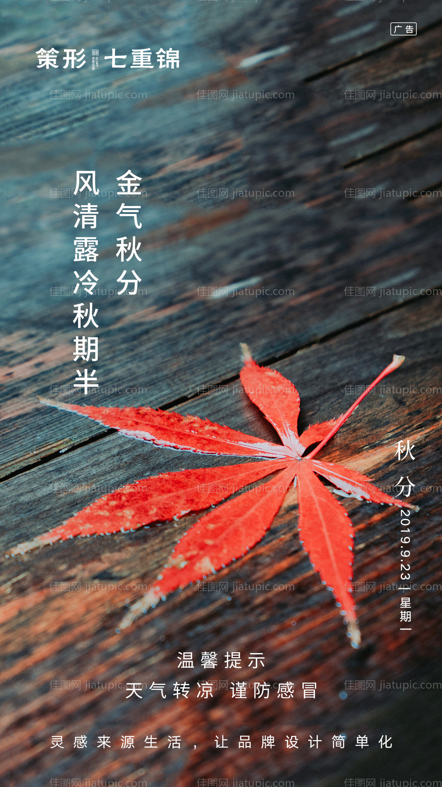 二十四节气之秋分移动端海报-源文件