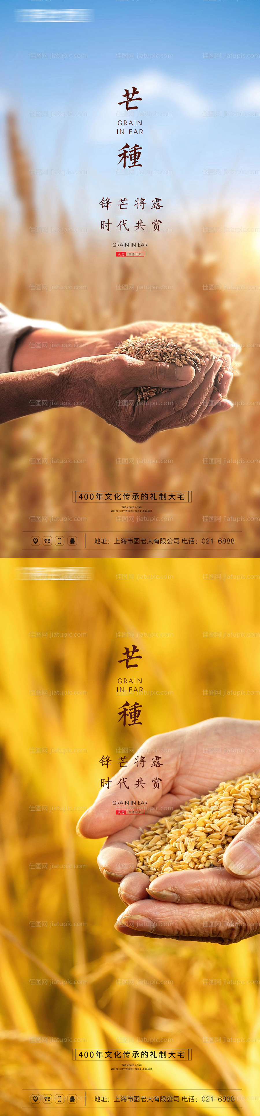 芒种节气系列海报-源文件