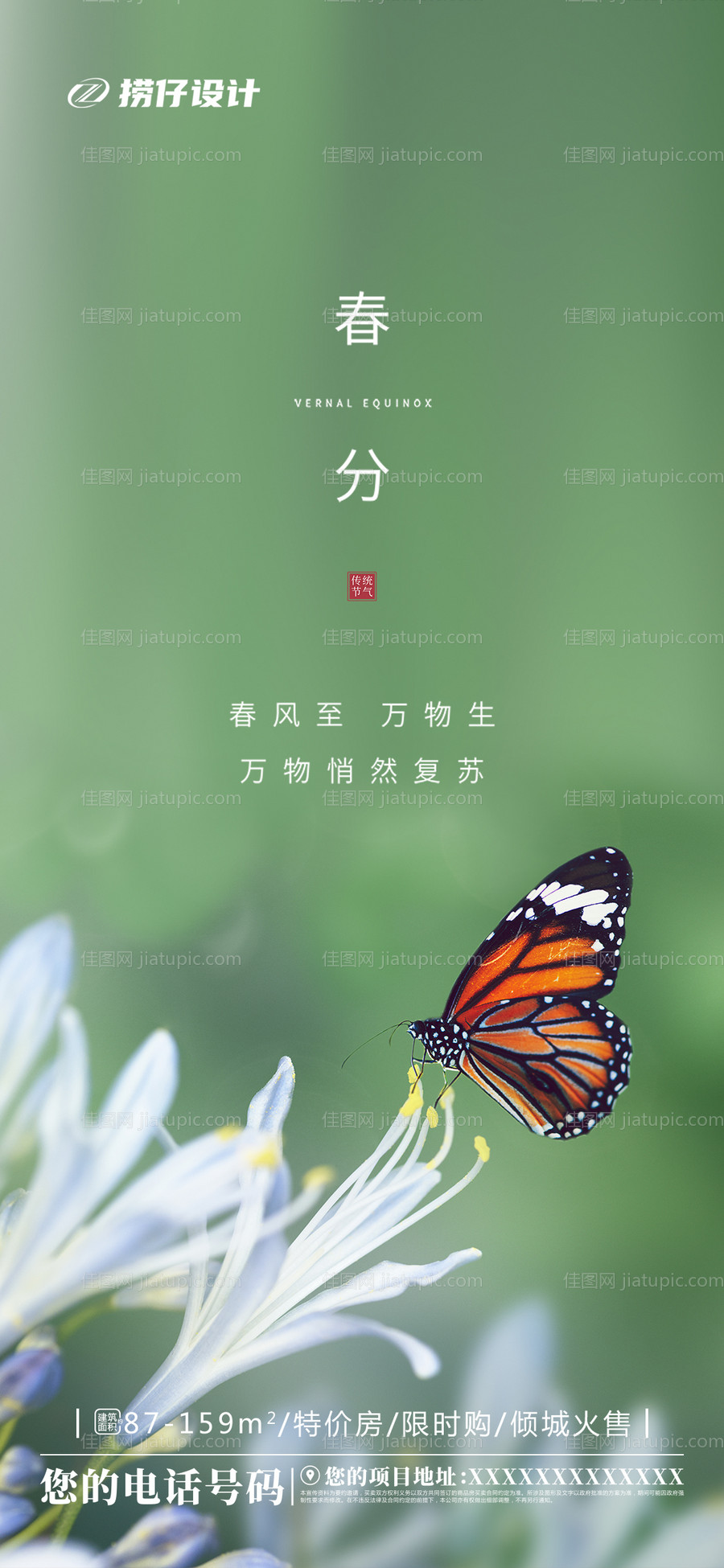 春分节气移动端海报-源文件