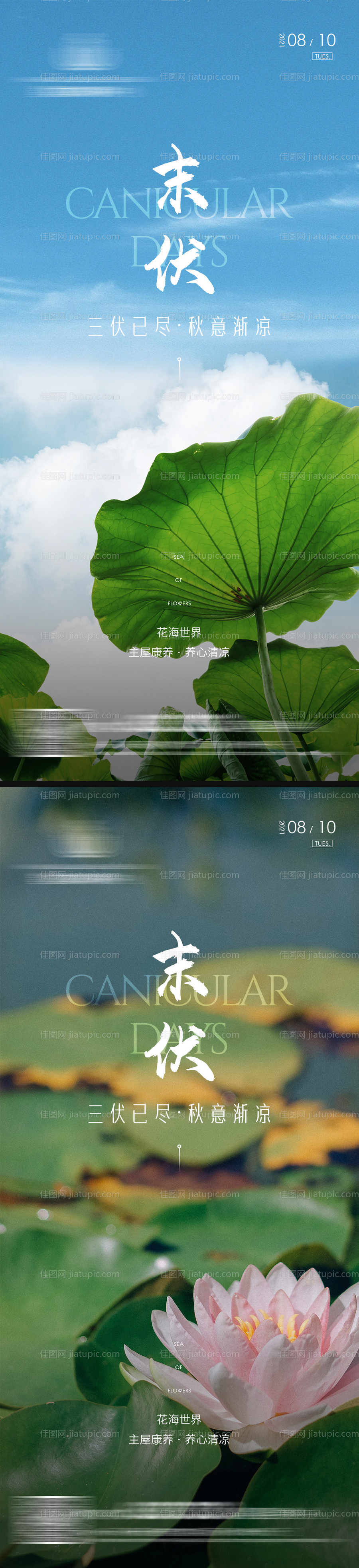 地产三伏天末伏 海报-源文件