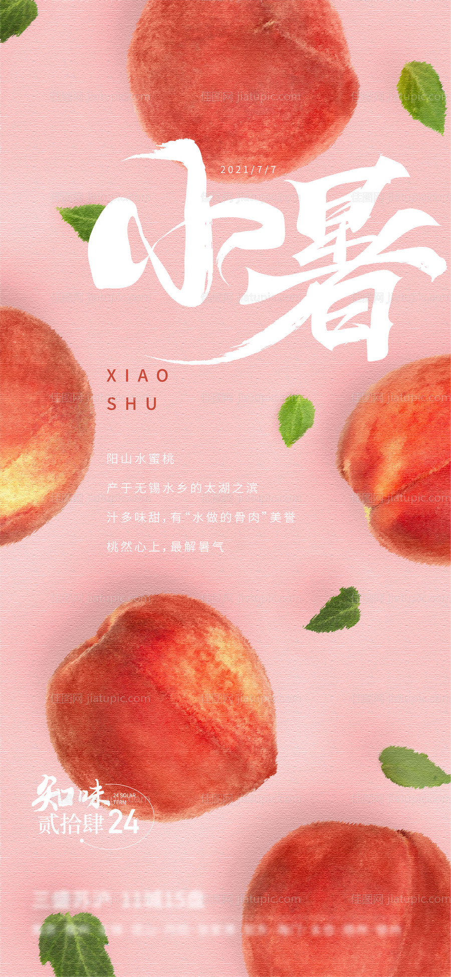 小暑海报-源文件