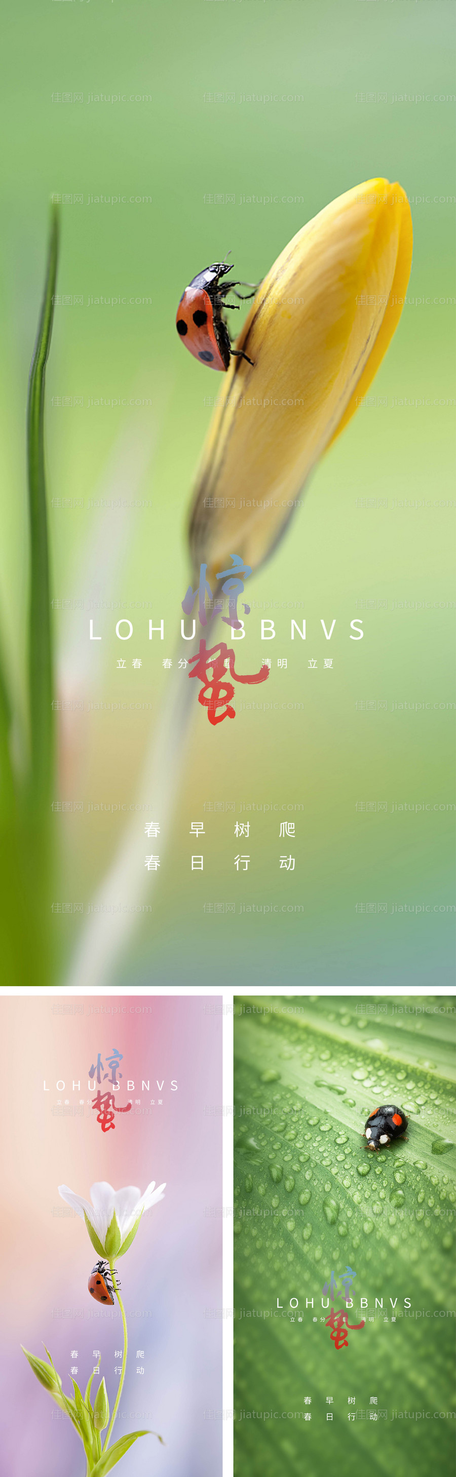 惊蛰立春春分清明立夏夏至微信海报-源文件