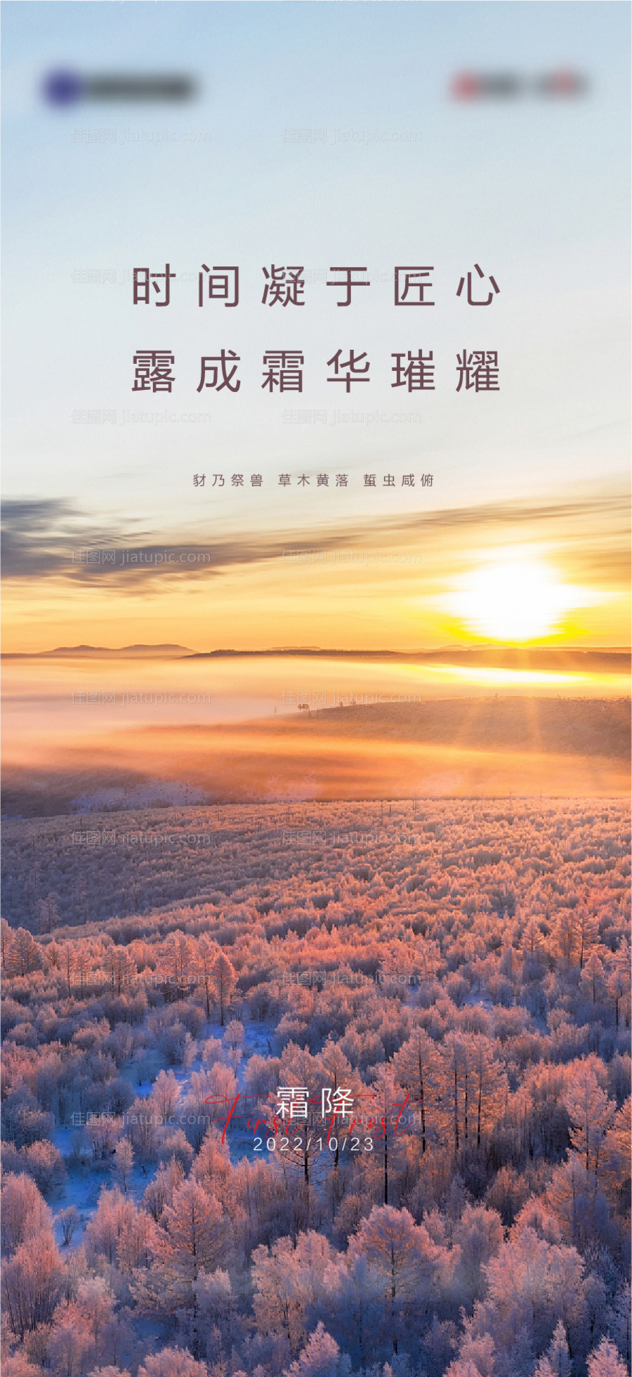 霜降节气海报-源文件