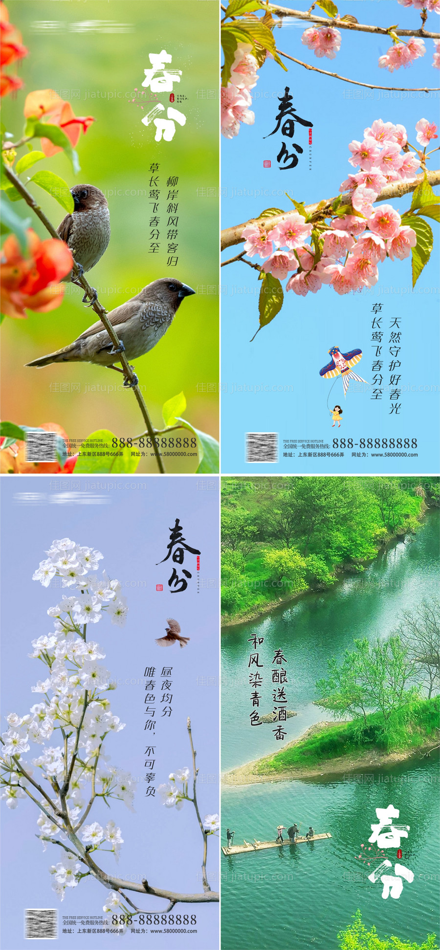 春分节气海报-源文件
