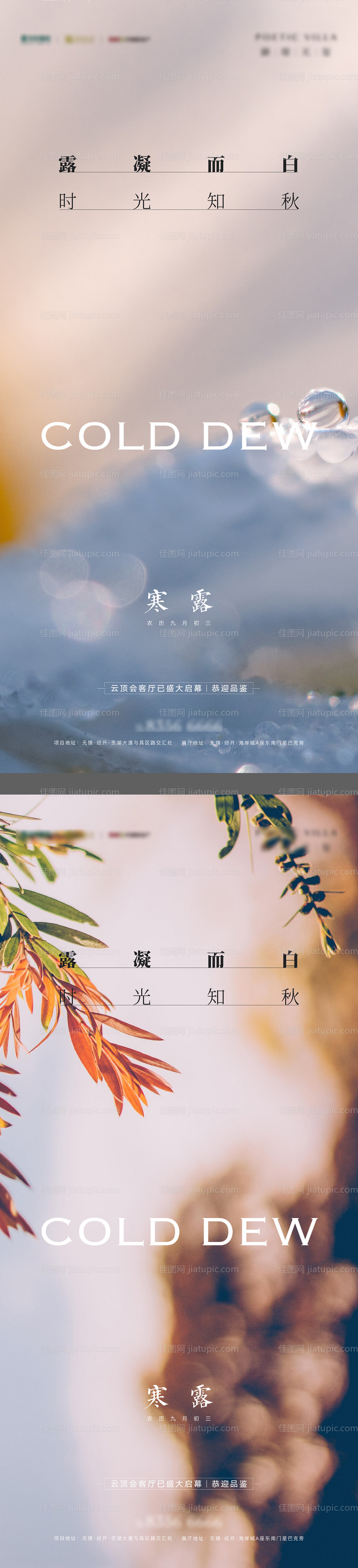 寒露-源文件