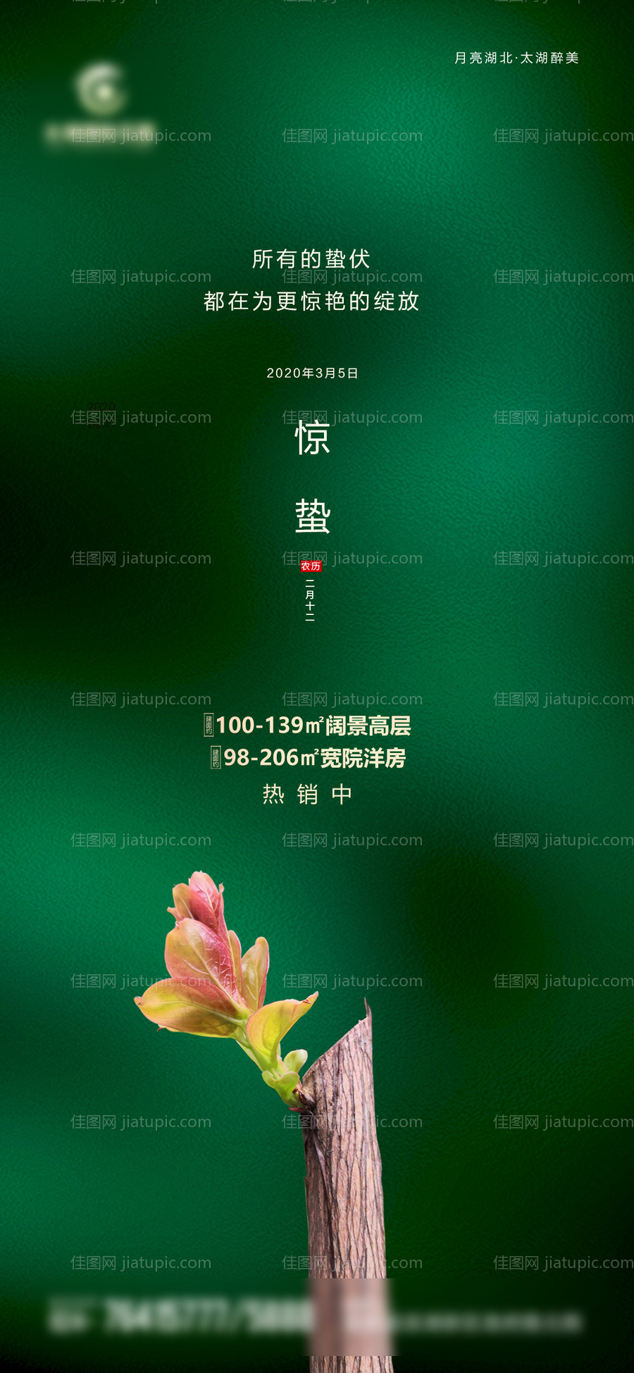 惊蛰节气海报-源文件