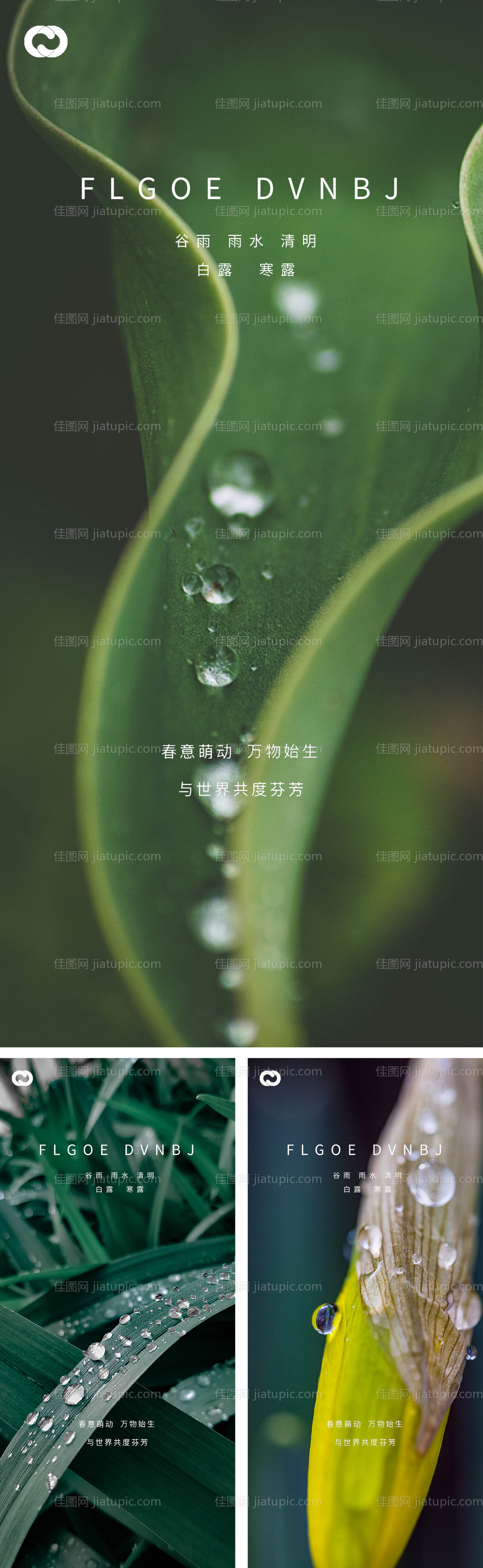 雨水谷雨清明白露寒露系列海报-源文件