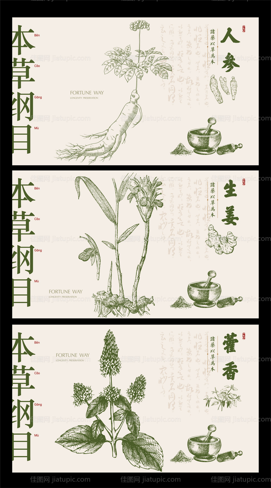 本草纲目中药展板2-源文件