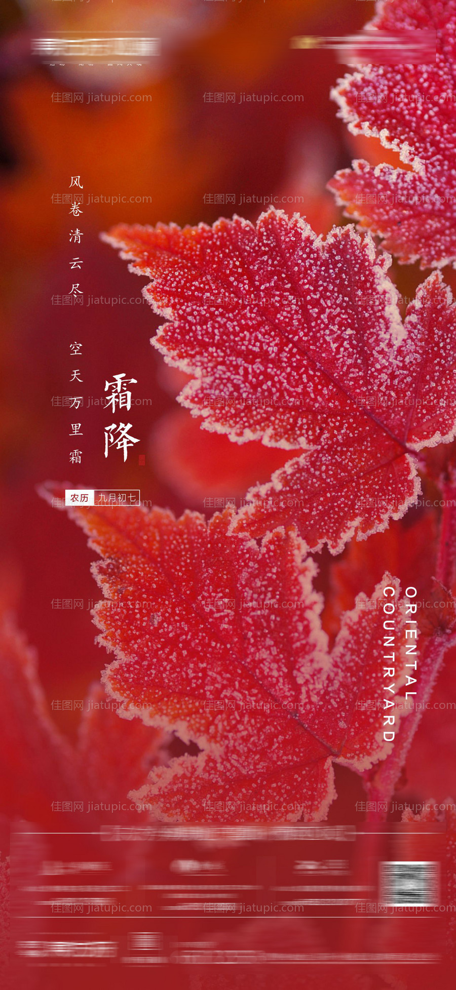 霜降节气海报-源文件