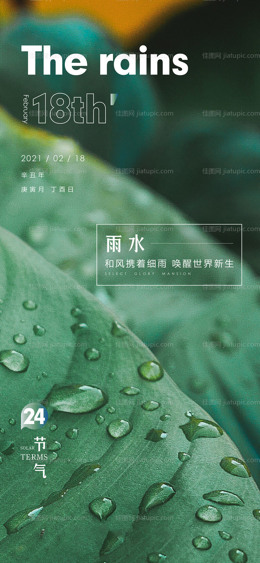 雨水海报-源文件