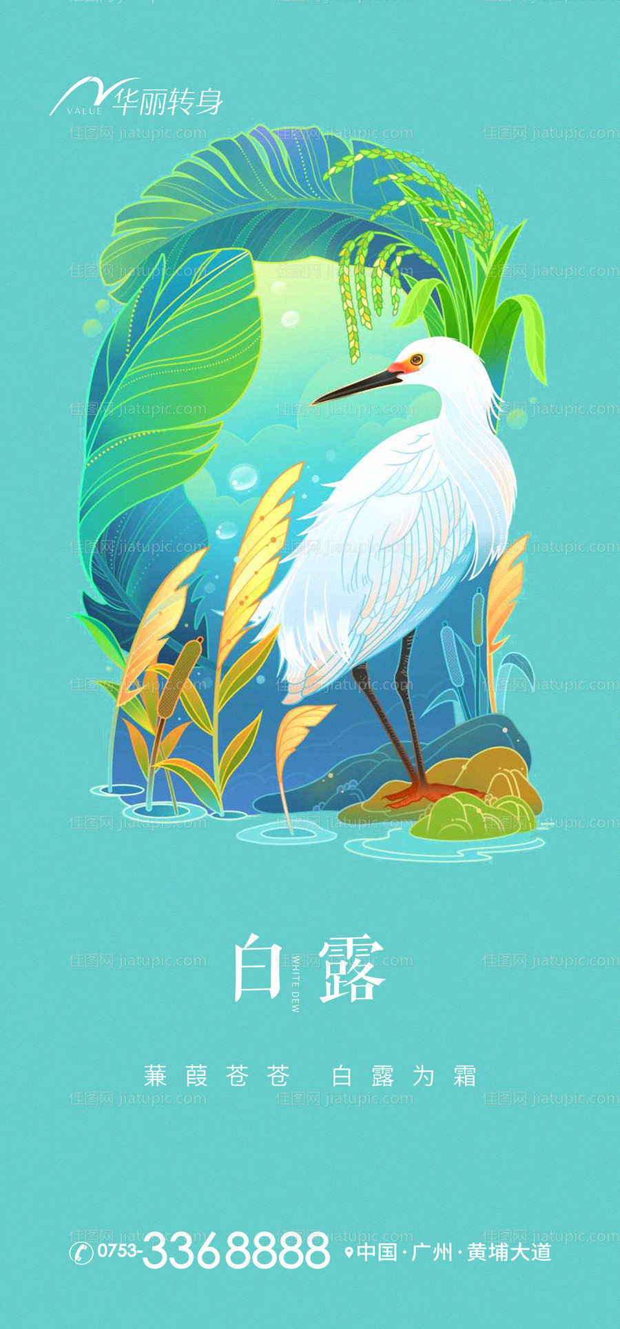 白露节气海报-源文件