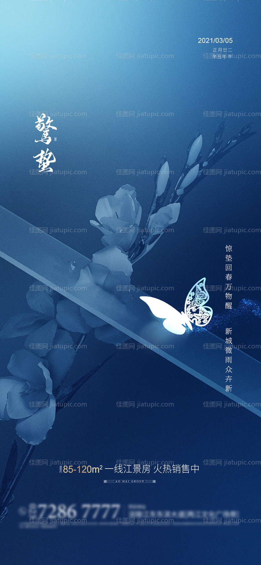 地产惊蛰海报-源文件