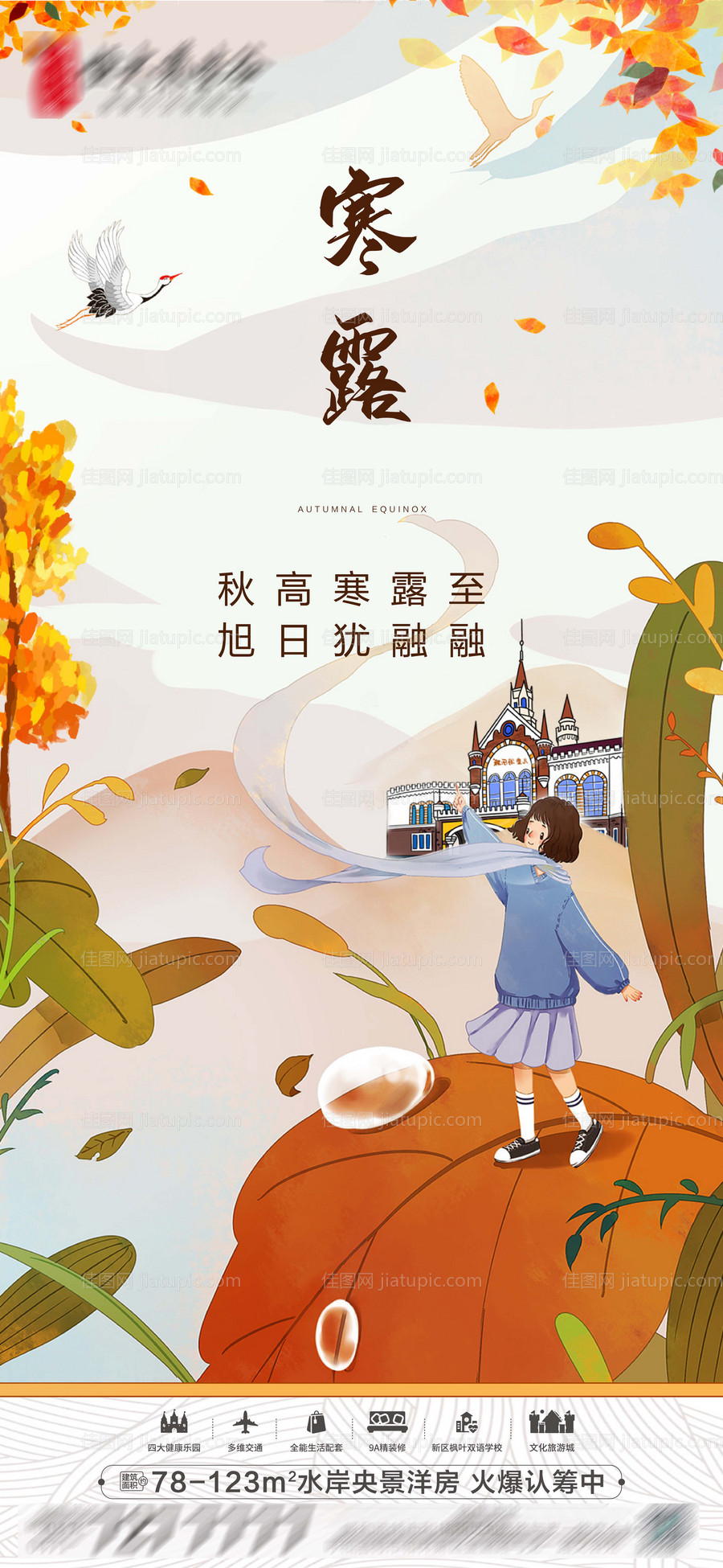 寒露-源文件