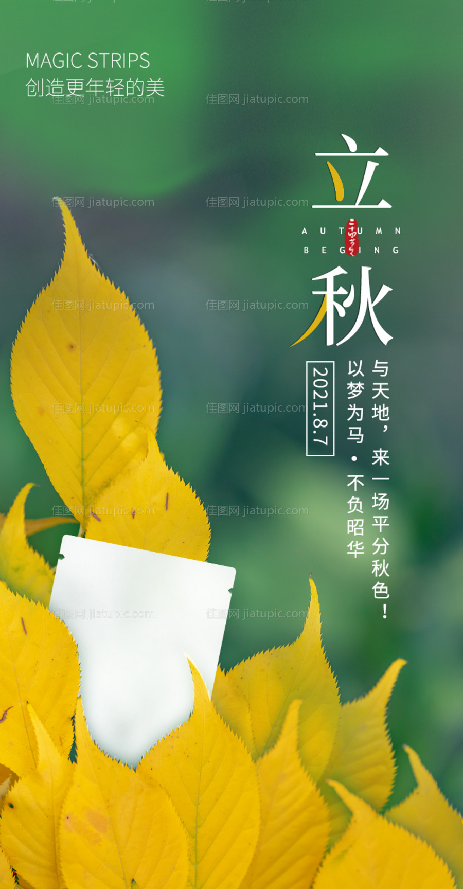 立秋节气海报-源文件